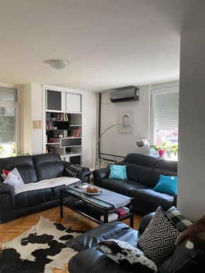 Lovely Apartment in City Center